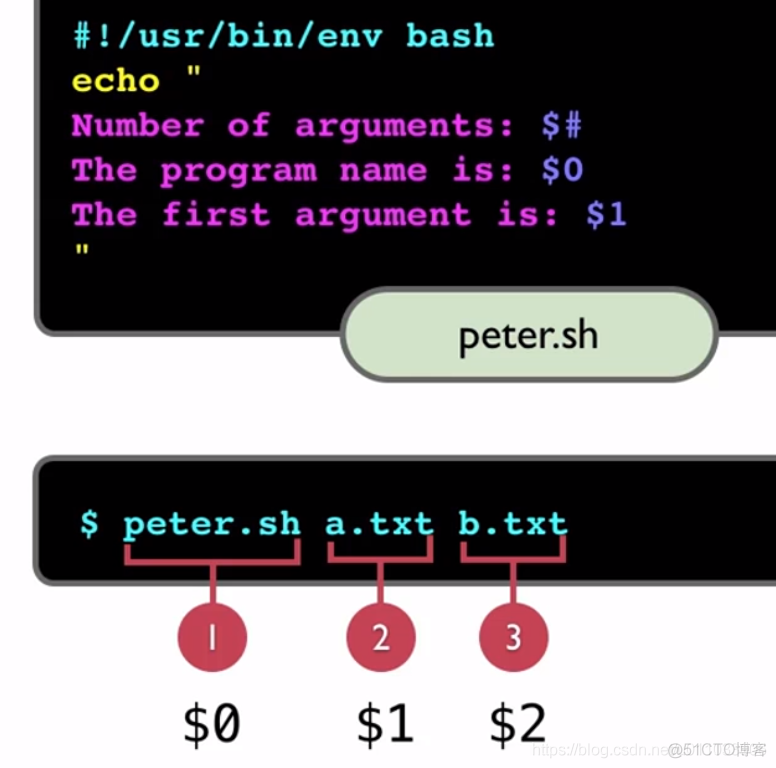 Linux 学习笔记 （十） shell 脚本初探_当前目录