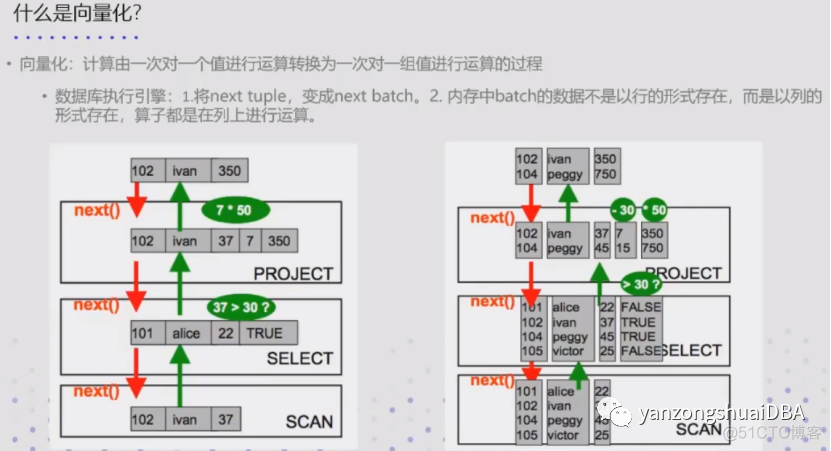 Apache Daris向量化_人工智能_03