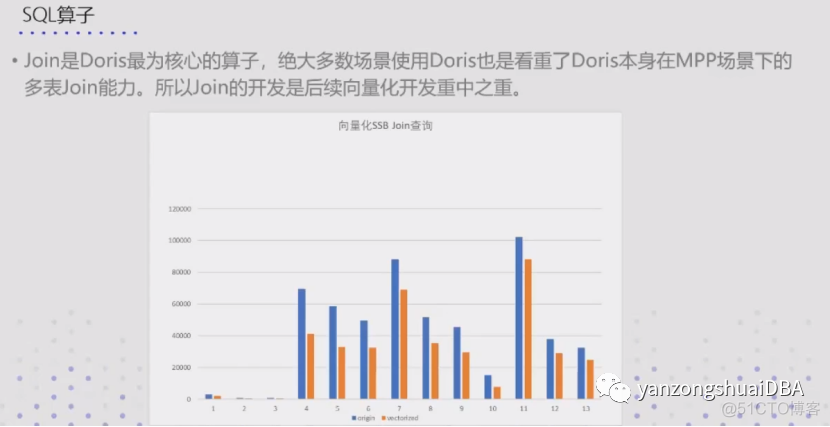 Apache Daris向量化_大数据_17