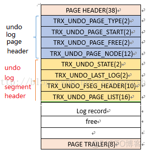 innodb undo--undo page_pp