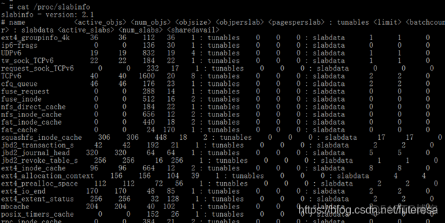 Linux内核之内存2: 内存的动态申请、释放的原理和细节_惰性分配_02