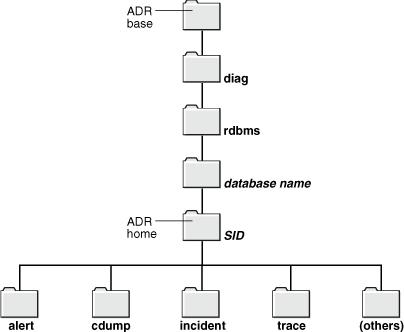 Oracle 11g Automatic Diagnostic Repository(原创)_sed