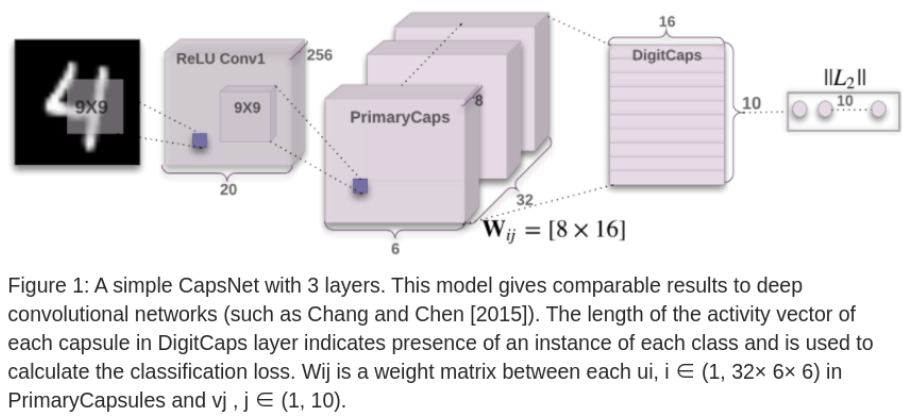 论文阅读_胶囊网络CapsNet_权重_08
