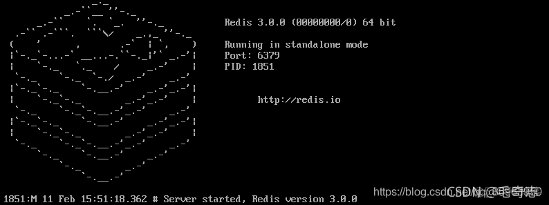 Redis_15_Redis客户端-服务端架构_架构_11