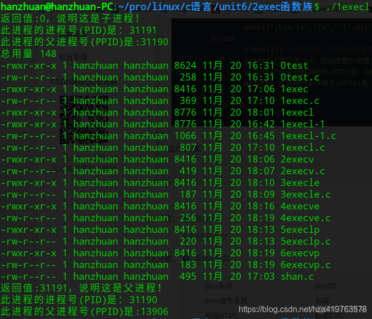 linux exec函数族演示_linux