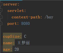 使用IDEA构建spring boot项目示例_数据库_17