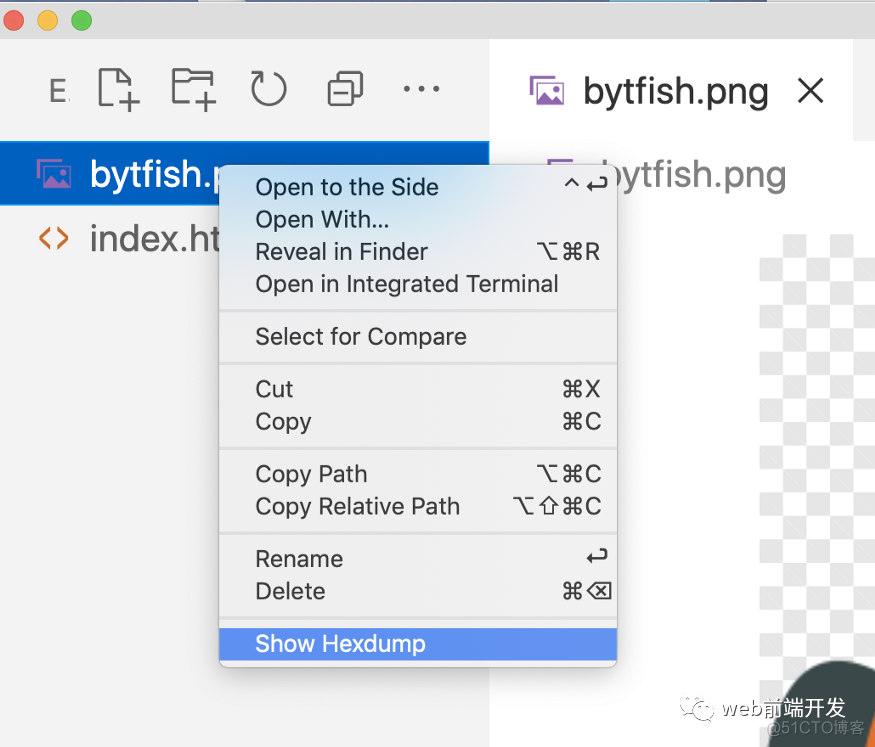 9个面向前端开发者的有用VSCode 插件工具_十六进制_13