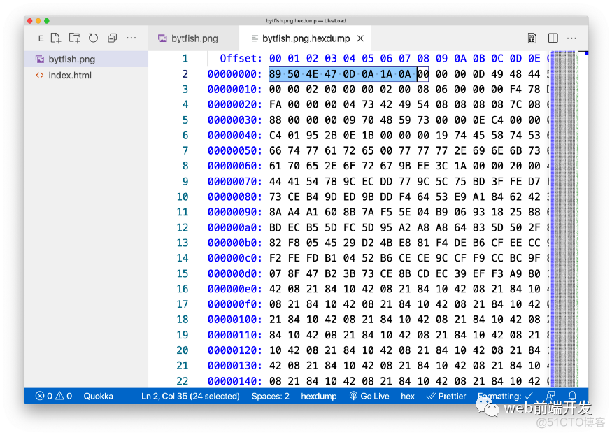 9个面向前端开发者的有用VSCode 插件工具_十六进制_14