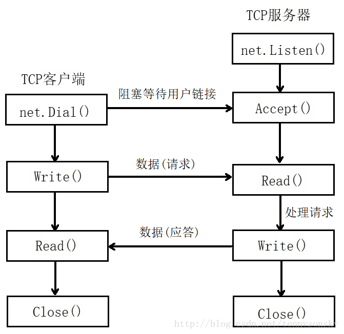 Go基础编程：Socket编程_网络编程