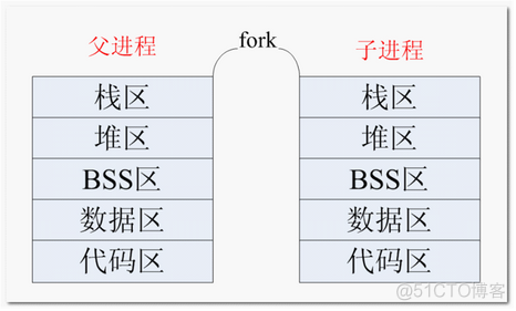 Linux系统编程—— fork() 函数详解_fork_02