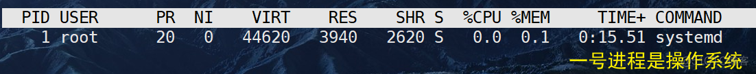 【Linux】进程状态+进程优先级_父进程_13