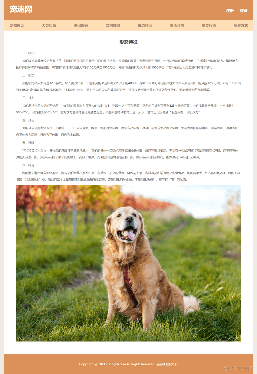 宠物狗网页制作作业 保护动物网页设计模板 简单学生网页设计 静态HTML CSS网站制作成品_css