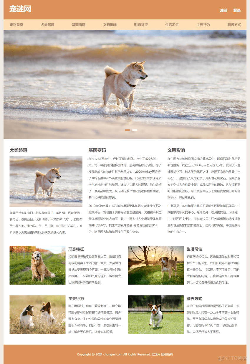 宠物狗网页制作作业 保护动物网页设计模板 简单学生网页设计 静态HTML CSS网站制作成品_前端_03