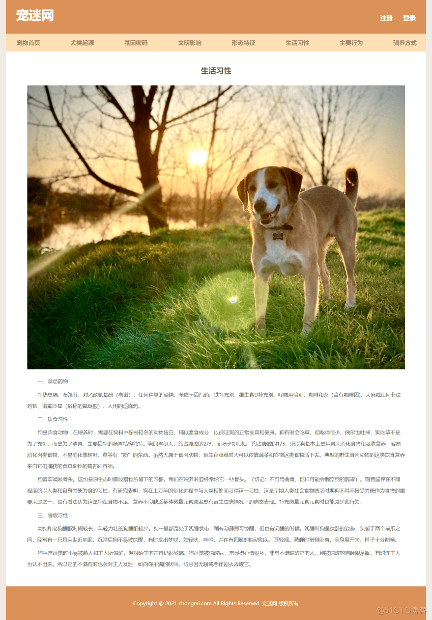 宠物狗网页制作作业 保护动物网页设计模板 简单学生网页设计 静态HTML CSS网站制作成品_web_04