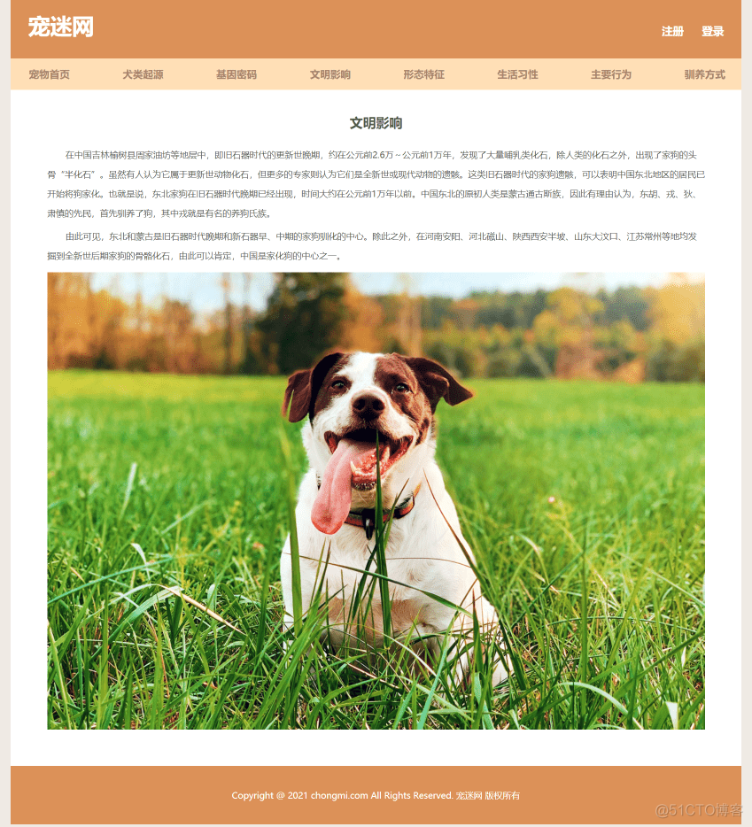 宠物狗网页制作作业 保护动物网页设计模板 简单学生网页设计 静态HTML CSS网站制作成品_css_05