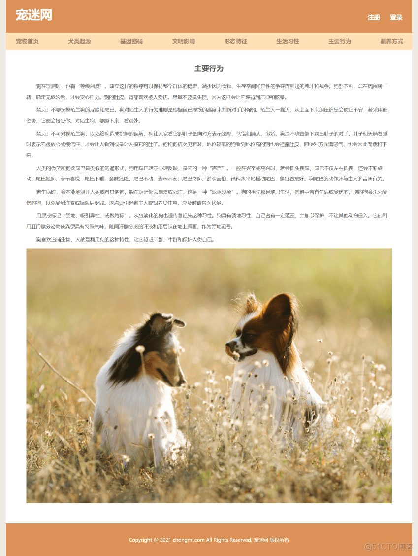 宠物狗网页制作作业 保护动物网页设计模板 简单学生网页设计 静态HTML CSS网站制作成品_css_07