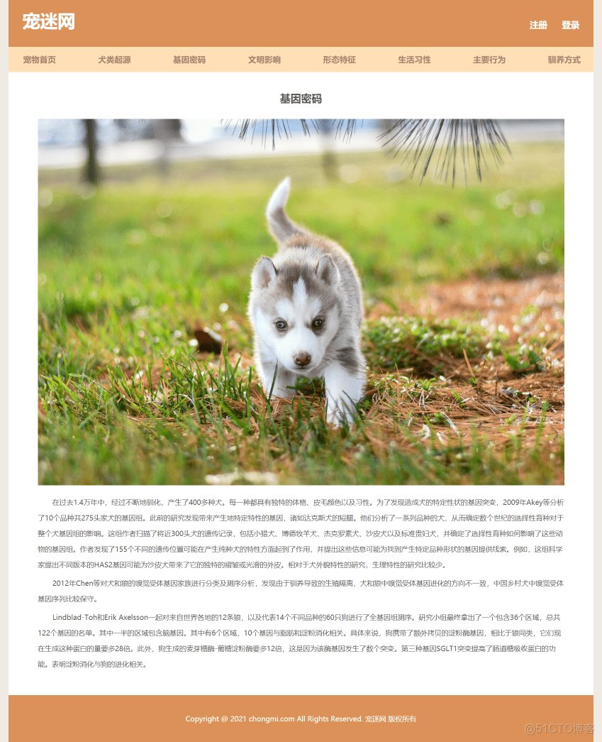 宠物狗网页制作作业 保护动物网页设计模板 简单学生网页设计 静态HTML CSS网站制作成品_前端_08