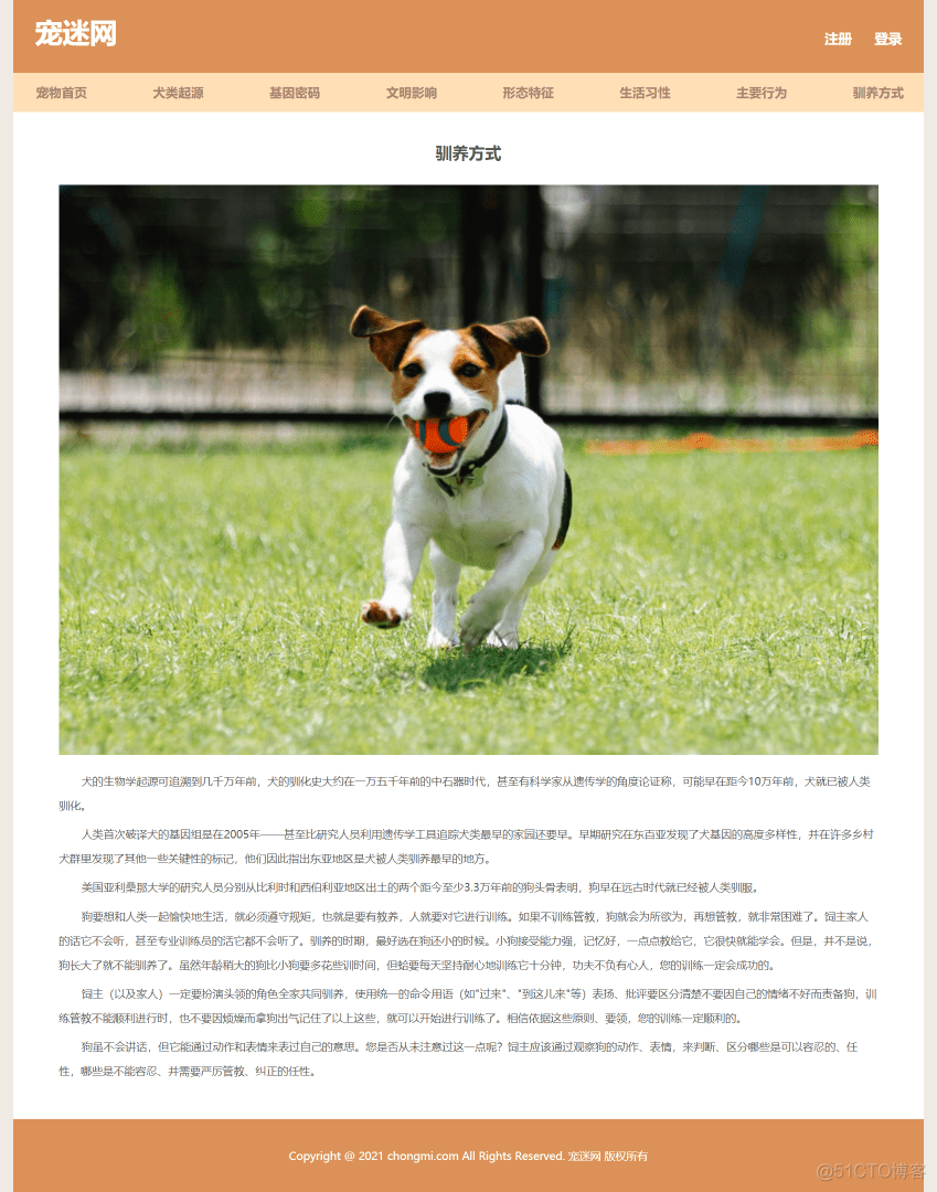 宠物狗网页制作作业 保护动物网页设计模板 简单学生网页设计 静态HTML CSS网站制作成品_css_09