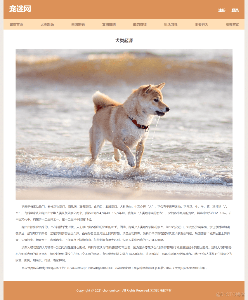 宠物狗网页制作作业 保护动物网页设计模板 简单学生网页设计 静态HTML CSS网站制作成品_javascript_10