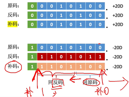 【408计算机组成原理】—移位运算（七）_反码_06