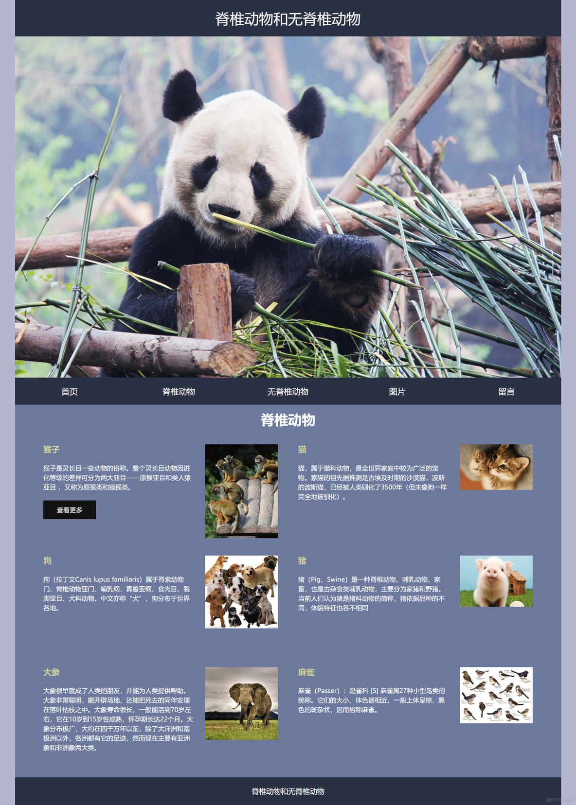 HTML5期末大作业：网站——保护动物网站HTML+CSS_web前端期末大作业_03