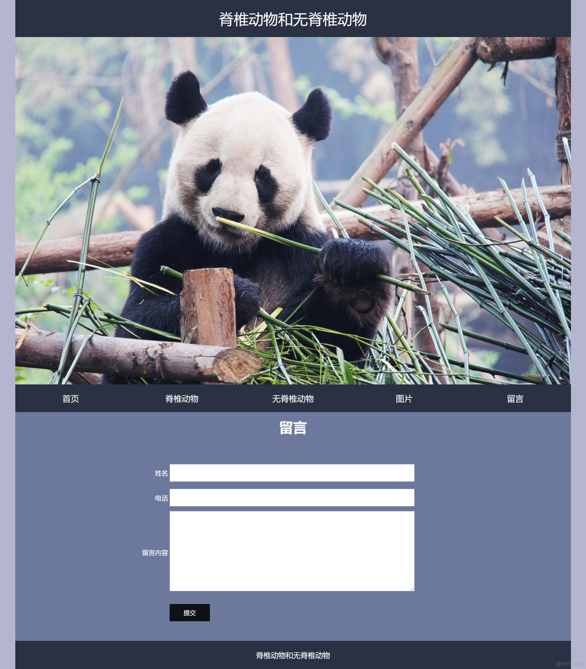 HTML5期末大作业：网站——保护动物网站HTML+CSS_web前端期末大作业_05