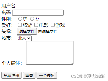 HTML表单标签和表单项标签示例_elementui_03