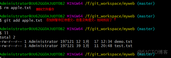 git篇1：git下载安装、使用_git_53