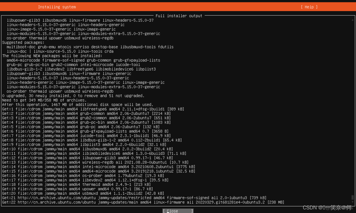 @Ubuntu server 22.04 系统安装（Ubuntu最新版）_ubuntu系统_19