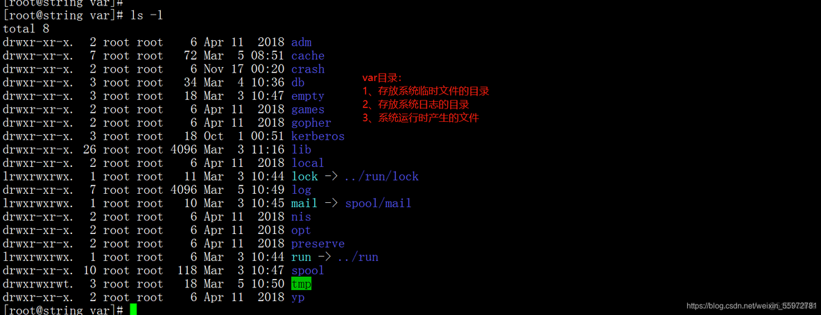 1.linux虚拟机安装和网络配置及xshell安装连接_linux_47