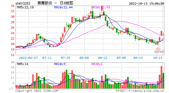 603283-赛腾股份