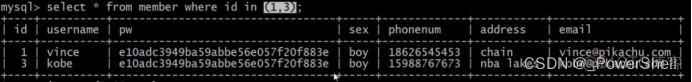 [ 漏洞挖掘基础篇四 ] 漏洞挖掘之 SQL 注入挖掘_网络安全_10