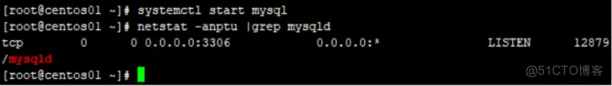 MySQL备份与恢复_Navicat_20