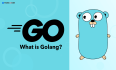 Go 语言入门很简单：什么是 Golang