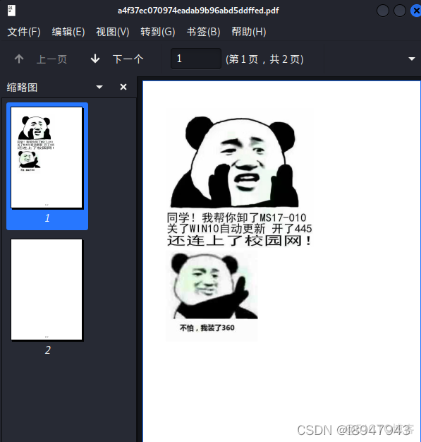 xctf攻防世界 MISC高手进阶区 小小的PDF_问题分析