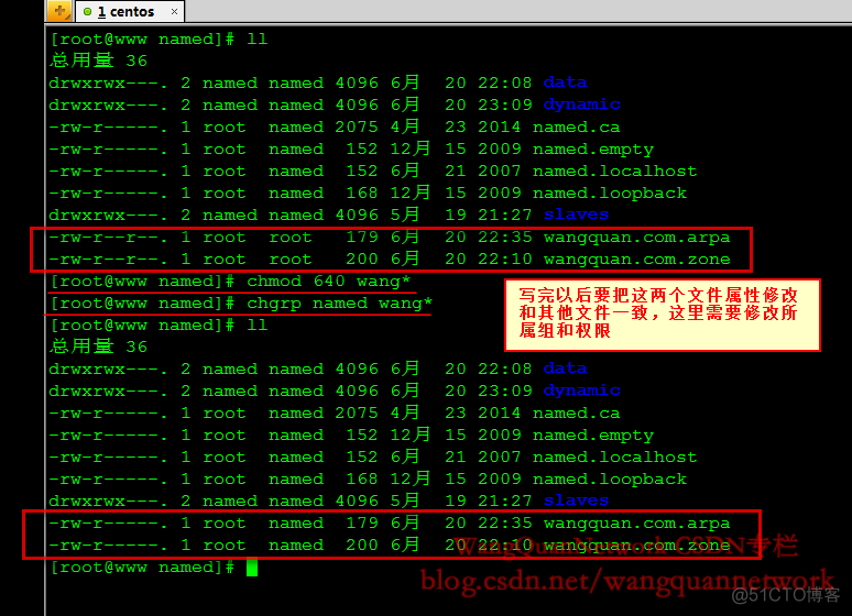 linux下安装和配置DNS服务器_正向_10