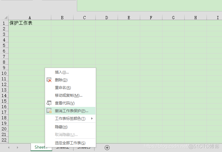 Excel 2016 保护工作表和取掉保护_其它_04