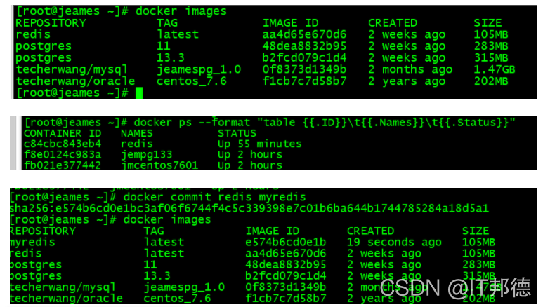 Docker迁移备份武林秘籍_redis_02