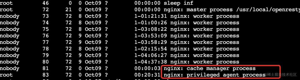 如何修改 Nginx 源码实现 worker 进程隔离_nginx_02