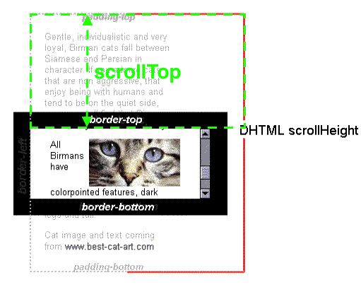 clientHeight   offsetHeight  scrollHeight  offsetTop  scrollTop的区别_css_05