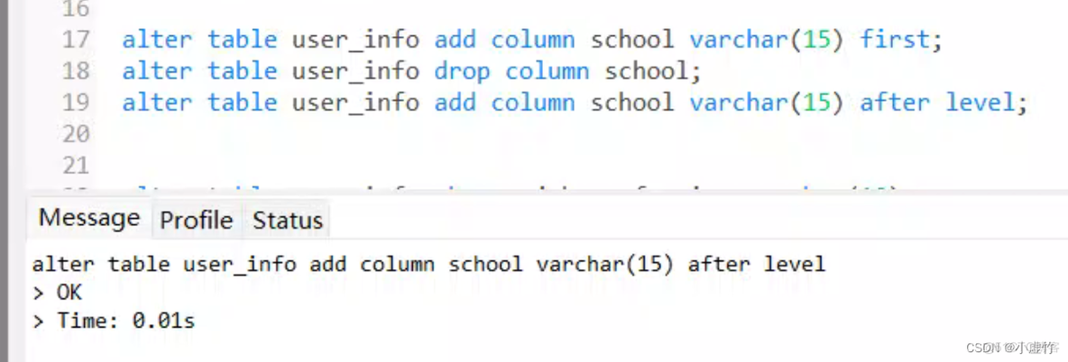 【第10天】SQL进阶-表的创建、修改与删除（SQL 小虚竹)_算法_11