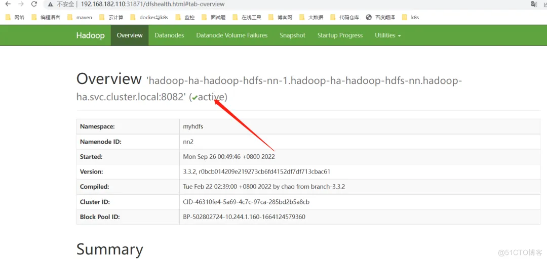 Kubernetes中部署 Hadoop 大数据集群_hadoop_05