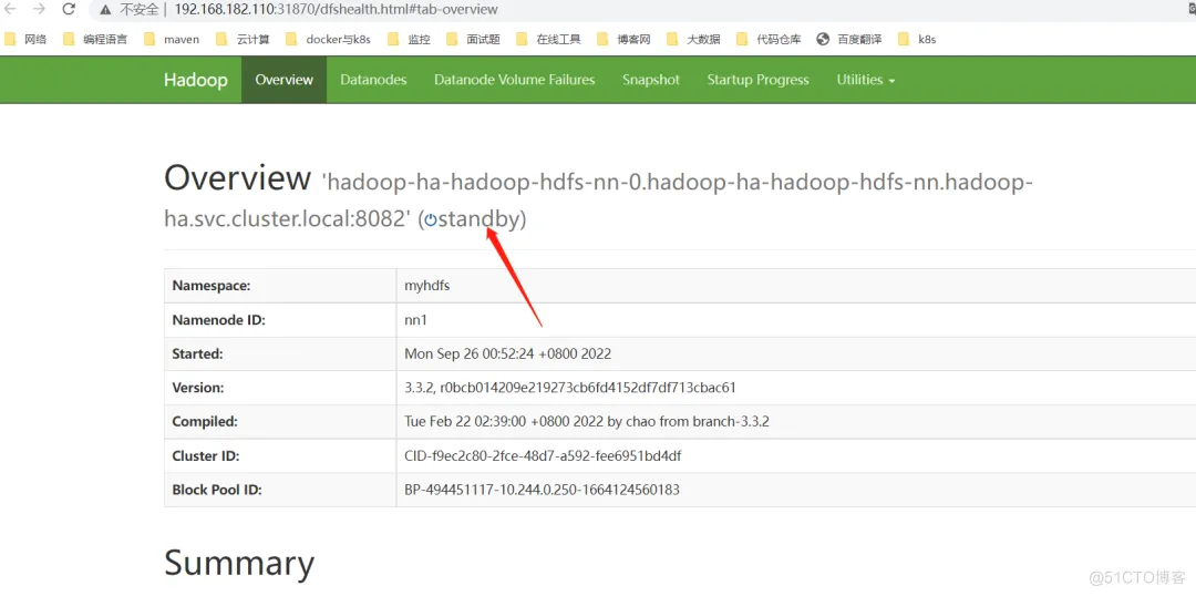 Kubernetes中部署 Hadoop 大数据集群_hadoop_04