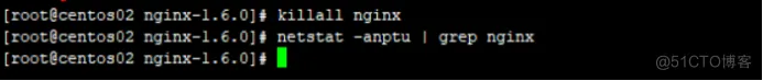 配置Nginx虚拟主机_DNS_14