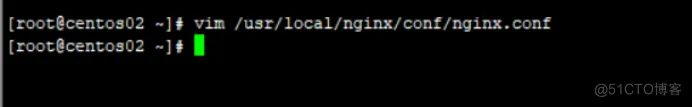 配置Nginx虚拟主机_虚拟主机_24