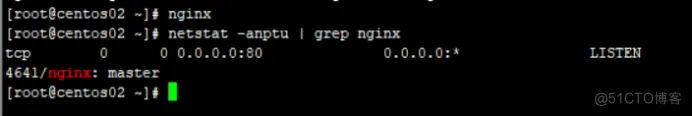 配置Nginx虚拟主机_DNS_28