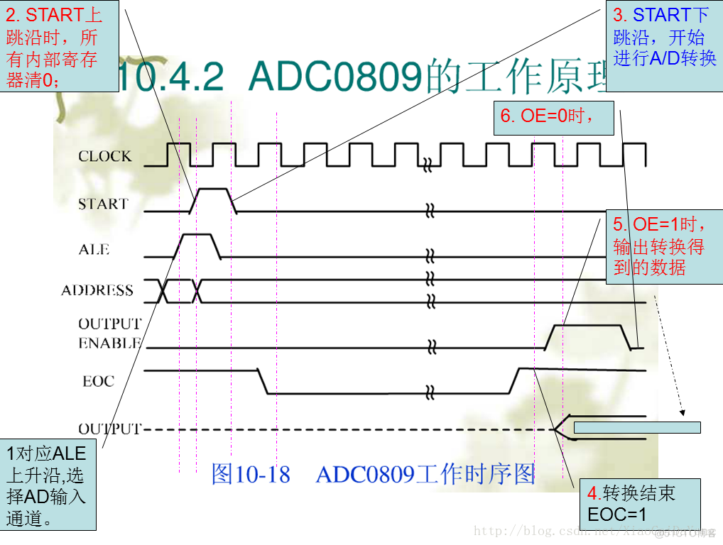 基于单片机的简易数字电压表设计（电路+程序）_数码管_03