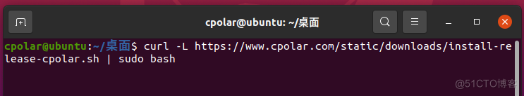 Cpolar在Linux系统中的安装_ubuntu系统_03