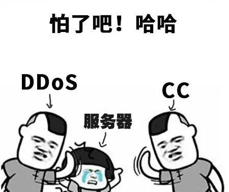 DDoS和CC攻击的技术原理区别_ddos攻击