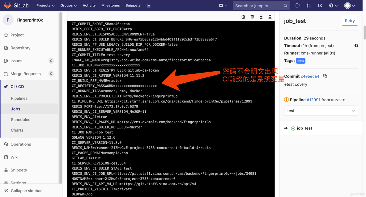 自动化持续集成之GitLab CI/CD_环境变量_11